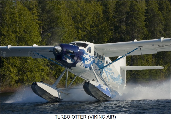 Turbo Otter